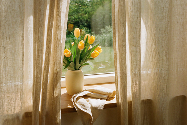 Fresh yellow tulips on a sunlit windowsill with warm morning light